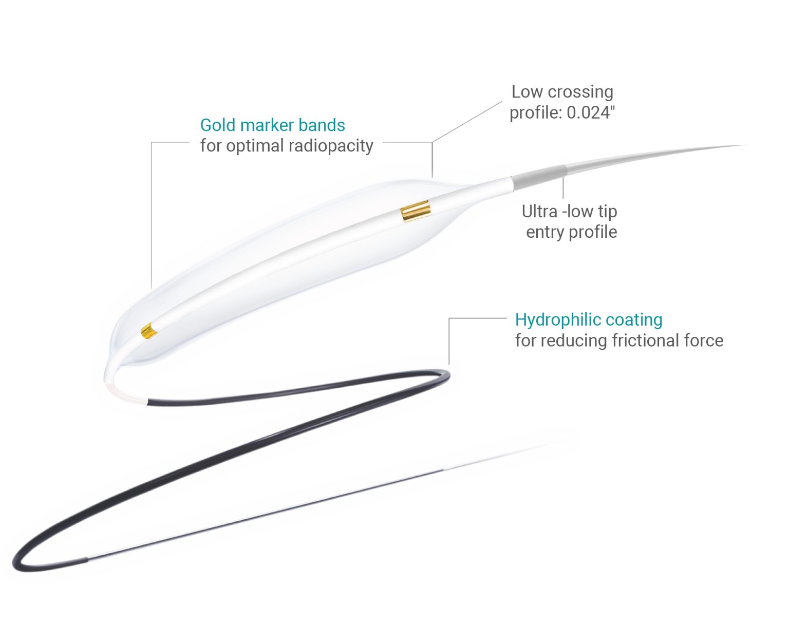 Excedo-Nc - Polymed Medical Devices